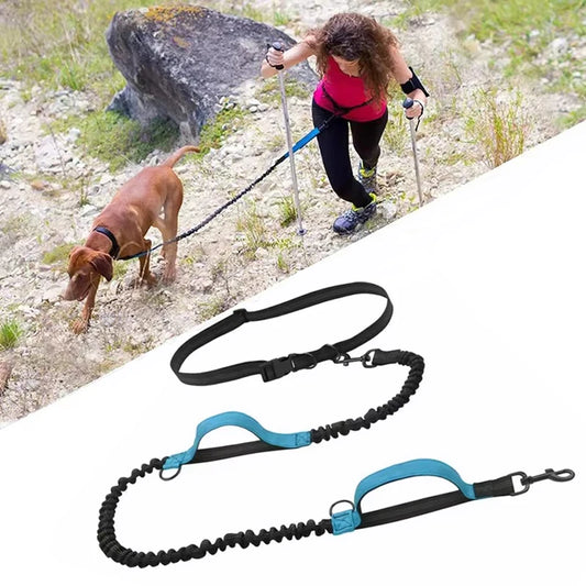 Outdoor Pet Dual Elastic Traction Rope Reflective Running at Night
