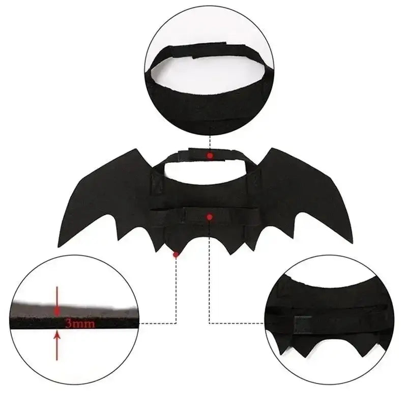 Wholesale Cute Cat Cosplay Costume Black Bat Wings Safety Belt Role