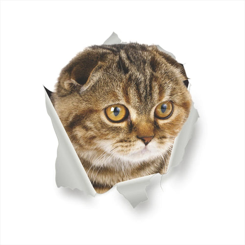 Vivid 3d Hole Funny Cat Dog Toilet Stickers Diy Wc Washroom Home