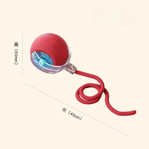 New Cat Interactive Ball Toys Silicone Automatic Rolling Ball With