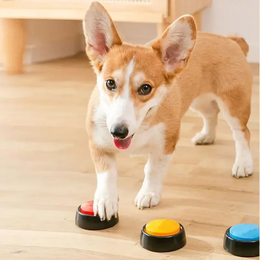 Pet Sound Box Recordable Talking Button Cat Voice Recorder Toy for