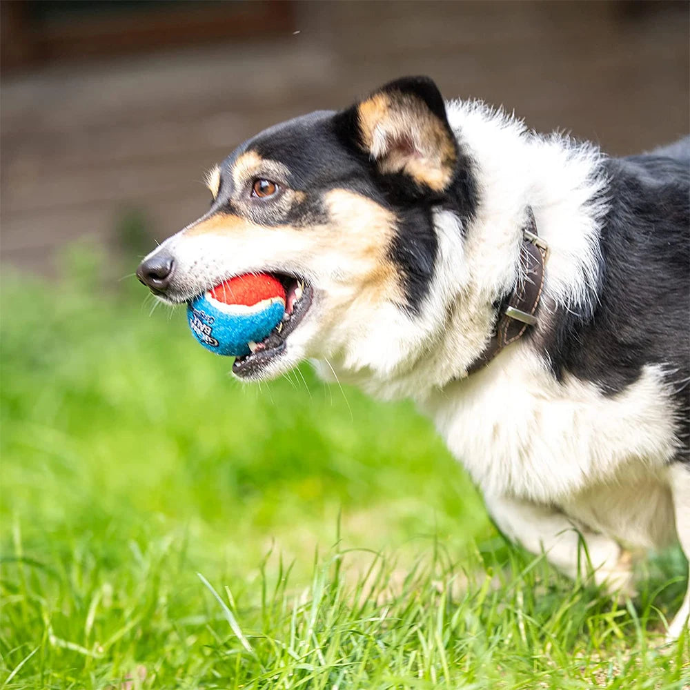 Pet Dog Squeaky Tennis Ball Interactive Dog Toys High Bounce Sound