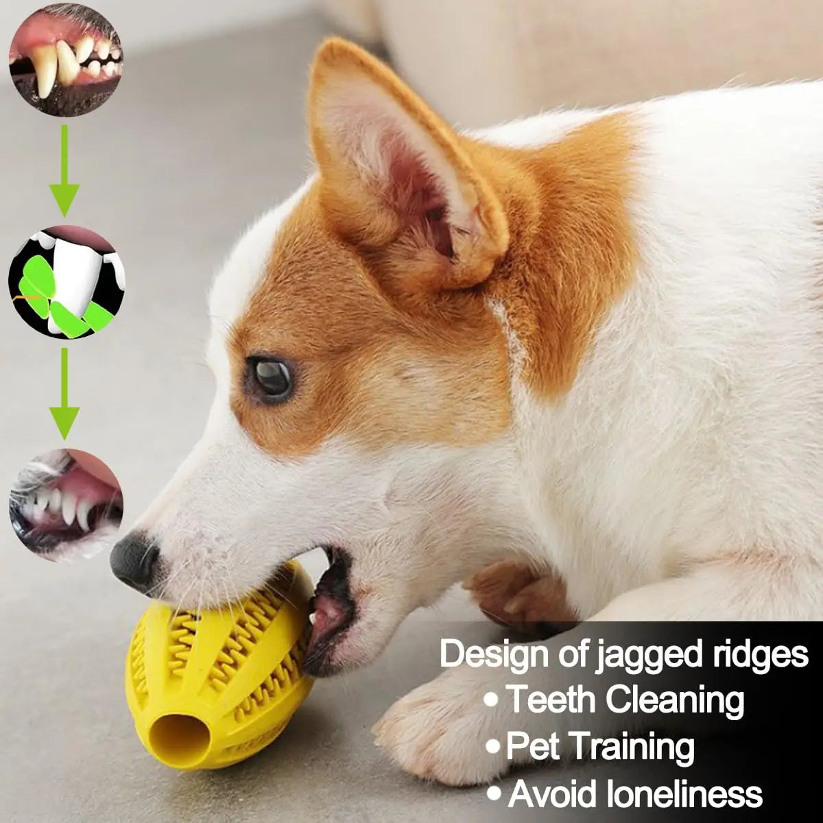 Pet Dog Chew Toys Teeth Cleaning Snack Ball Pet Dog Toy Ball Natural