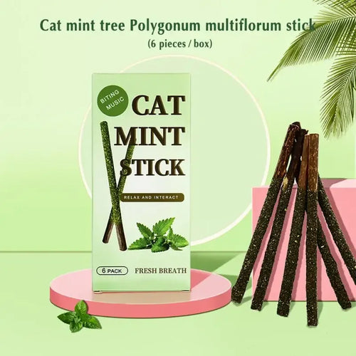 6pcs Natural Matatabi Cat Stick Mint Caught Bite Excited Rods