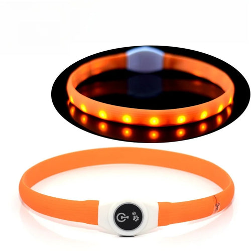 New Led Luminous Dog Collar PVC Waterproof , For Large Medium Small