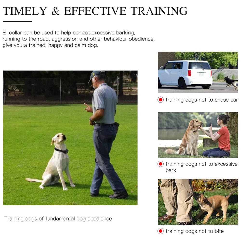 800m Digital Dog Training Collar Waterproof Rechargeable Remote