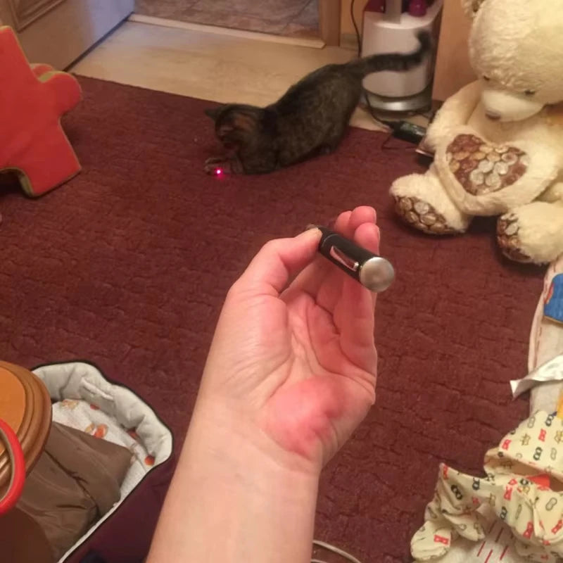 Pet Laser Pointer & LED Flashlight - Interactive Cat Scratching Toy,