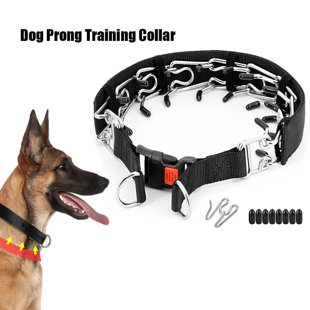 Dog Training Stimulation Chain Dog Collar Pet Supplies Dog Training