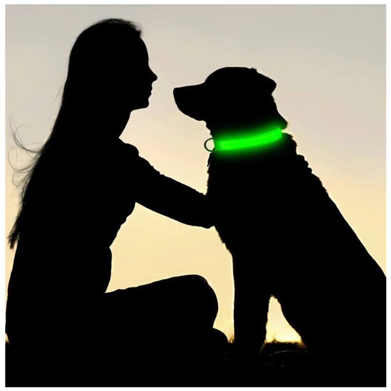 3 Modes Dog Luminous Charge Collar Led Usb Cat Dogs Collars Detachable