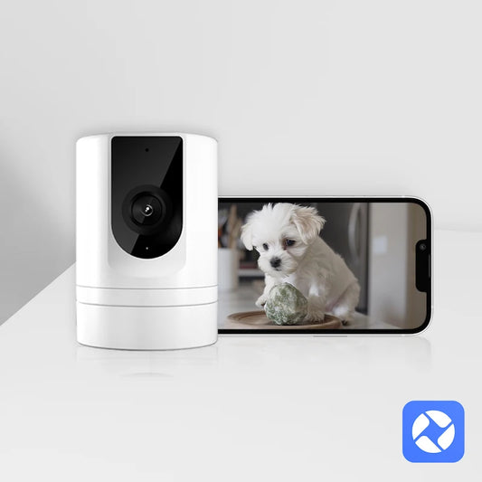 Ease Life App Security Baby Camera Indoor Home Security 2.4GHz 1080P