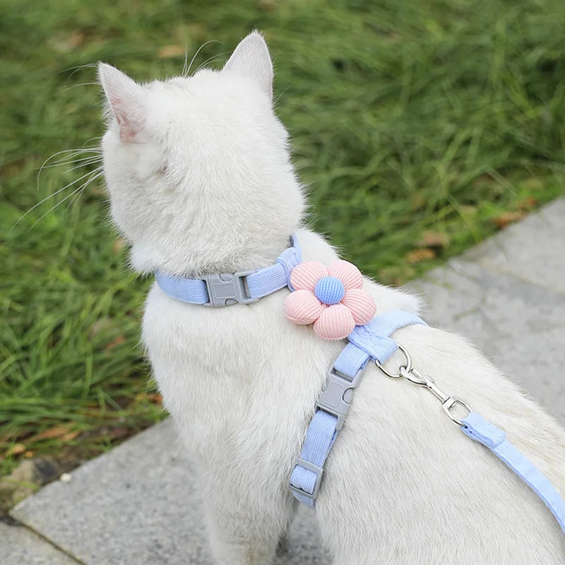Cat Harness and Leash Sets Adjustable Dog Harness for Small Dog Leash
