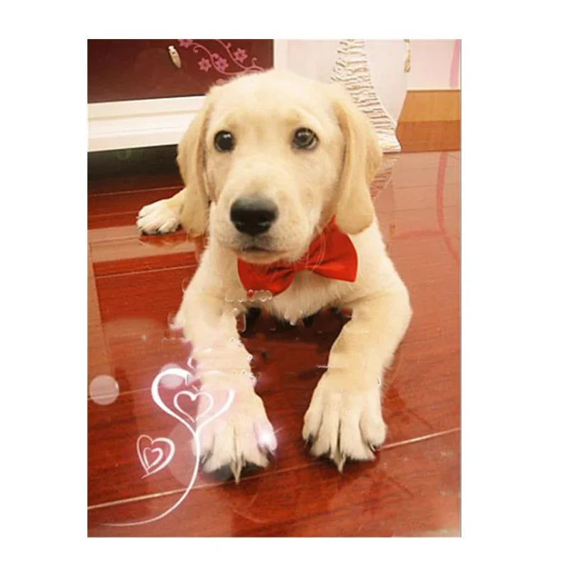 Pet Dog Cat Necklace Adjustable Strap for Cat Collar Dogs Accessories