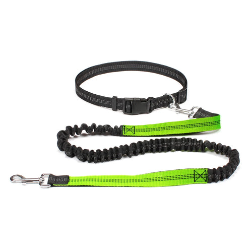 Hand Free Dog Leash for Pet Walking Running Jogging Adjustable Dog