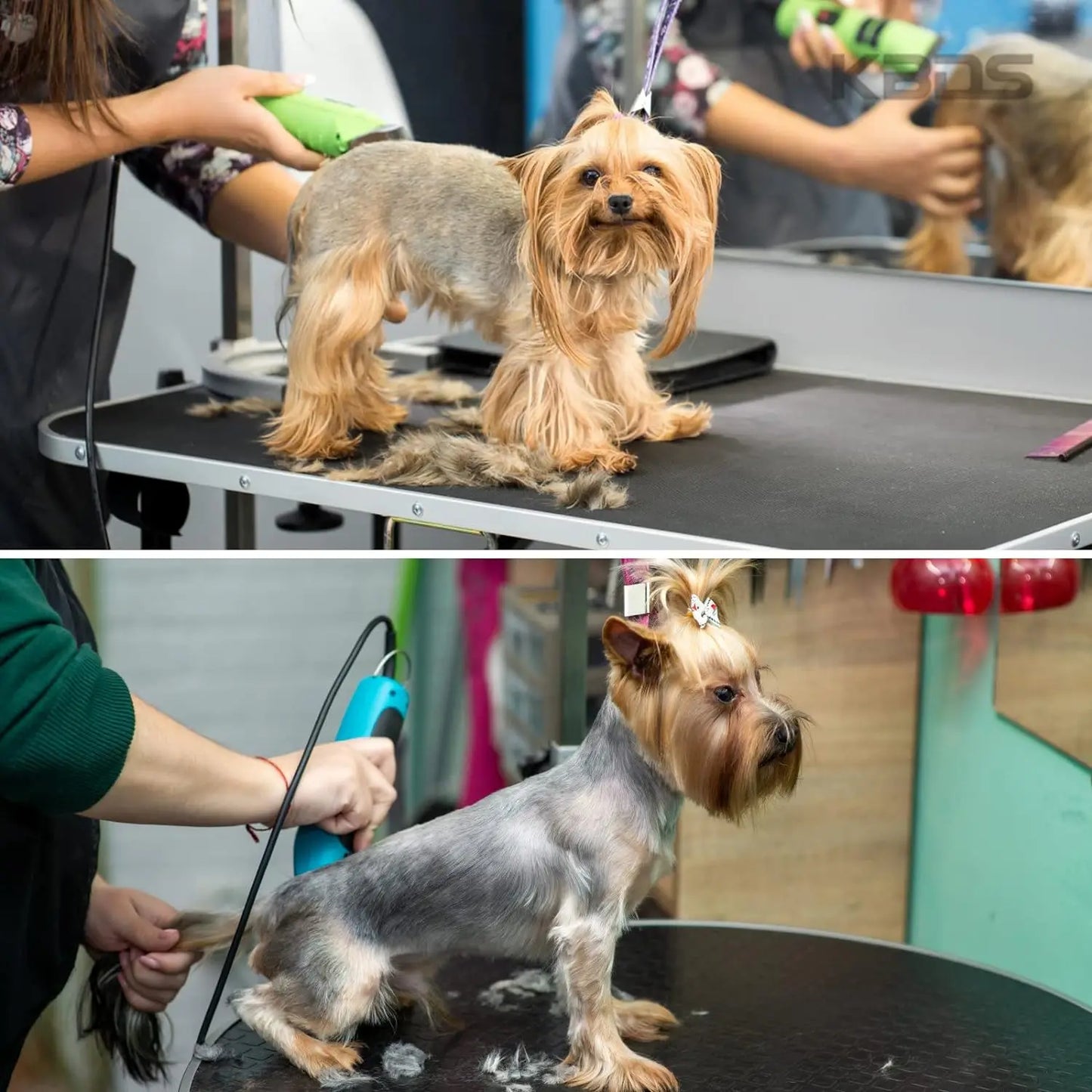 4F,5F,7F,9#,10#,30#,40# Professional Pet Dog Clipper Blade Fit For