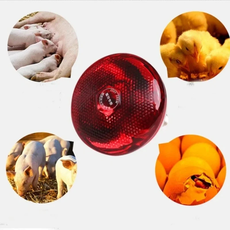 E27 Poultry Heating Lamp Breeding Bulb For Pigl High Quality