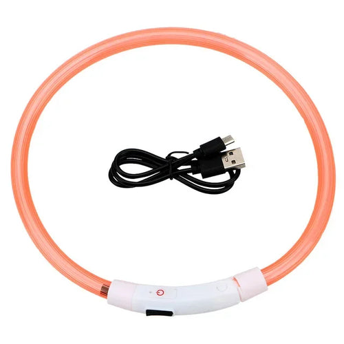 Dog Collar Luminous Usb Cat Dog Collar 3 Modes Led Light Glowing Loss