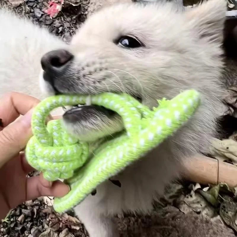 Pet Cotton Rope Slipper Knot Toy For Small Dogs Interactive Chew Toy