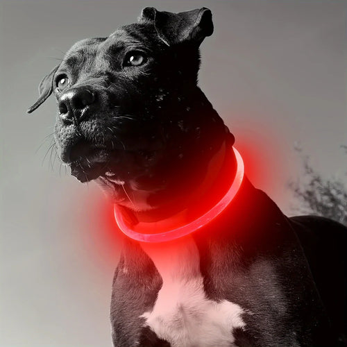 LED Light Dog Collar USB Charging Luminous Anti-Lost Necklace for