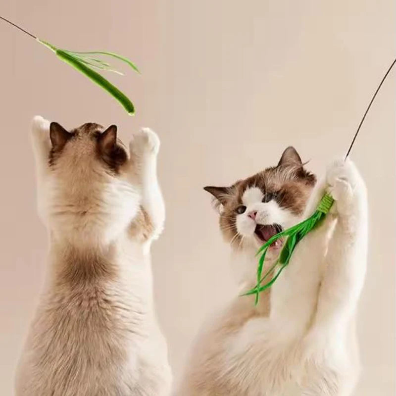New Cat toys, dog tail grass teasing cat pole feather pole wire cat