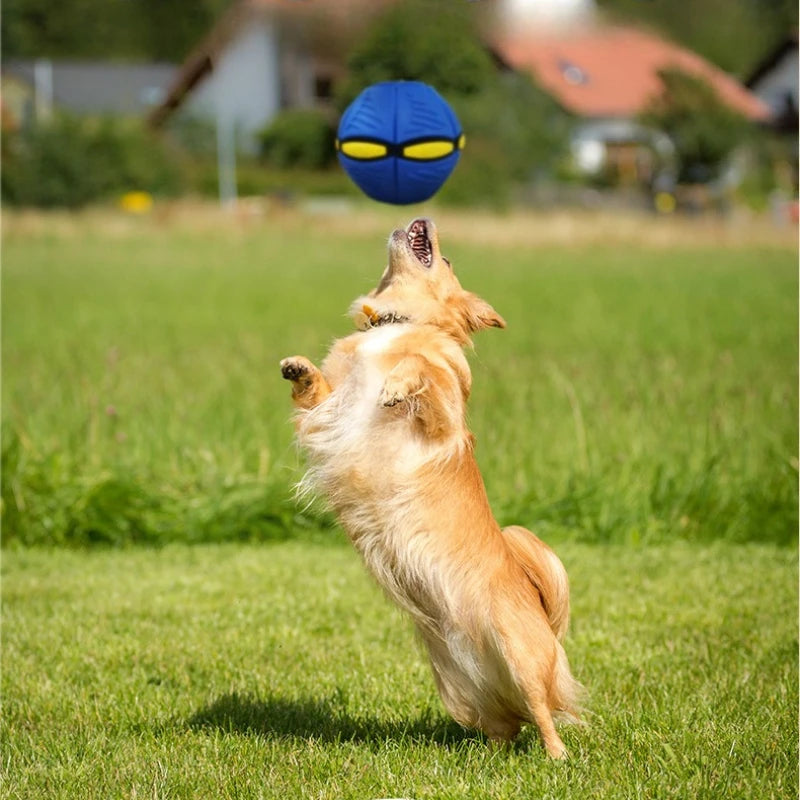 Flying Saucer Bouncing Ball Is A Durable Elastic and Fun Dog Pet Toy