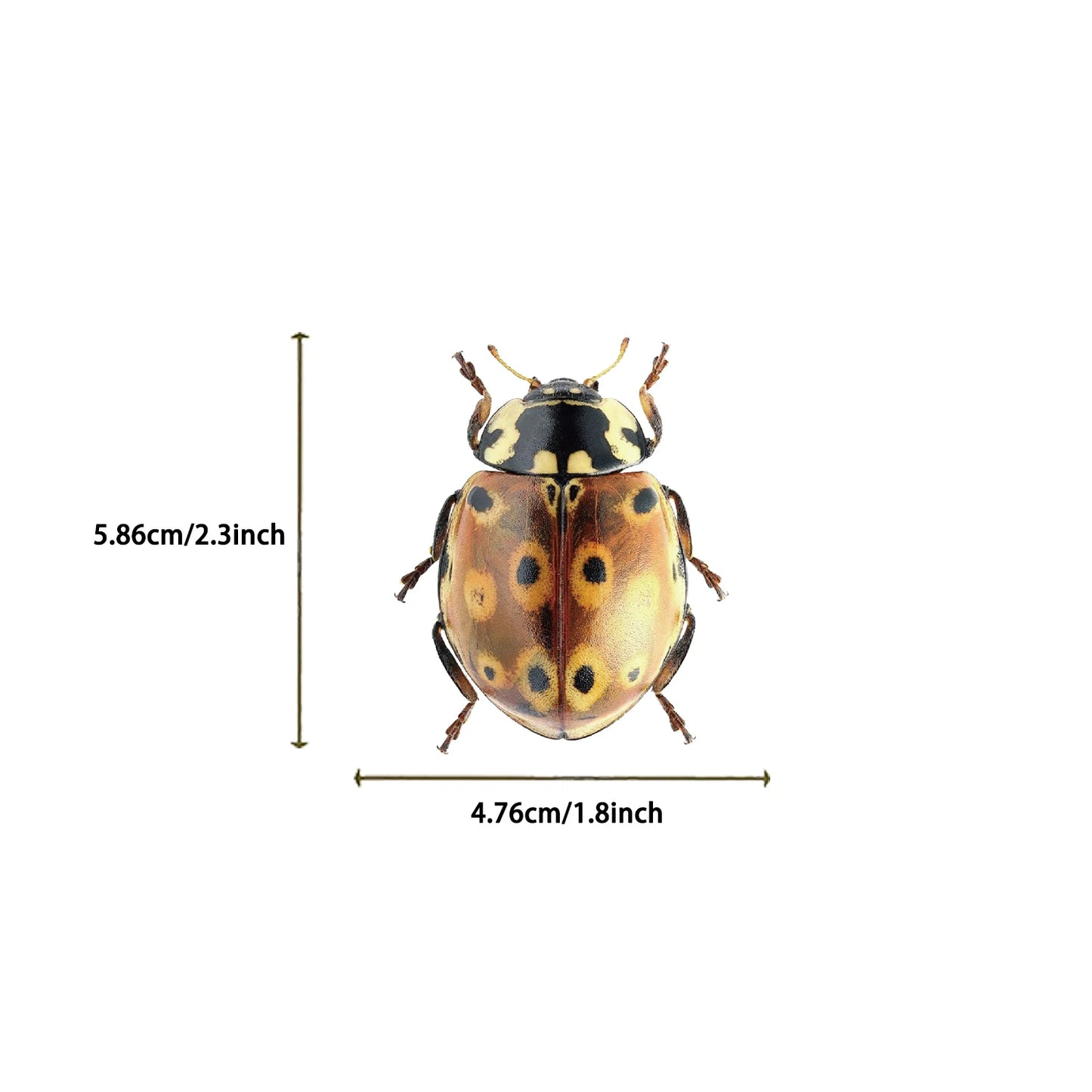 50pcs Cartoon Cute Cartoon Insect Beetle Stickers PET for Toy DIY