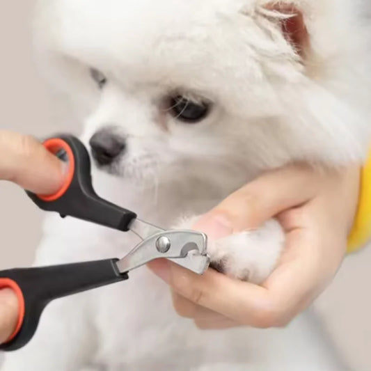 Pet Nail Clippers for Dogs Cats Puppy - Animal Nail Trimmer Scissors