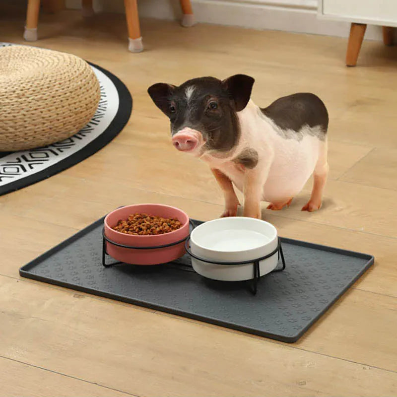 Silicone material dog drinking water and eating mat cat mat pet mat