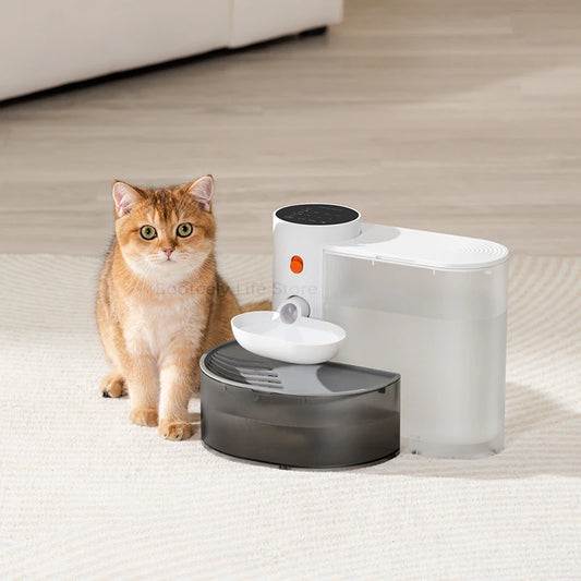 Dispenser Cat Water Fountain Moving Water Unplugged Automatic Water