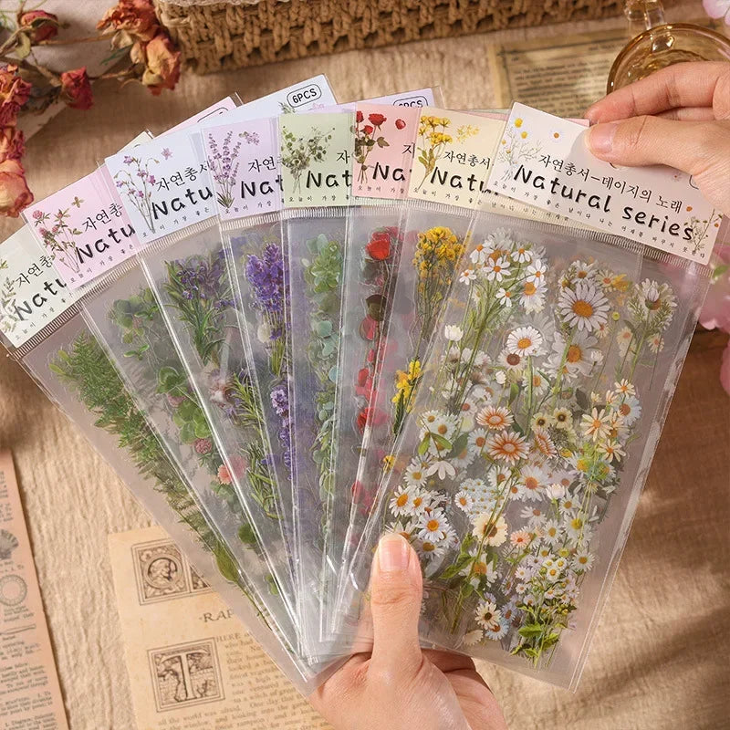6pcs/pack Transparent  Flowers Plants PET Decorative Stickers Diary