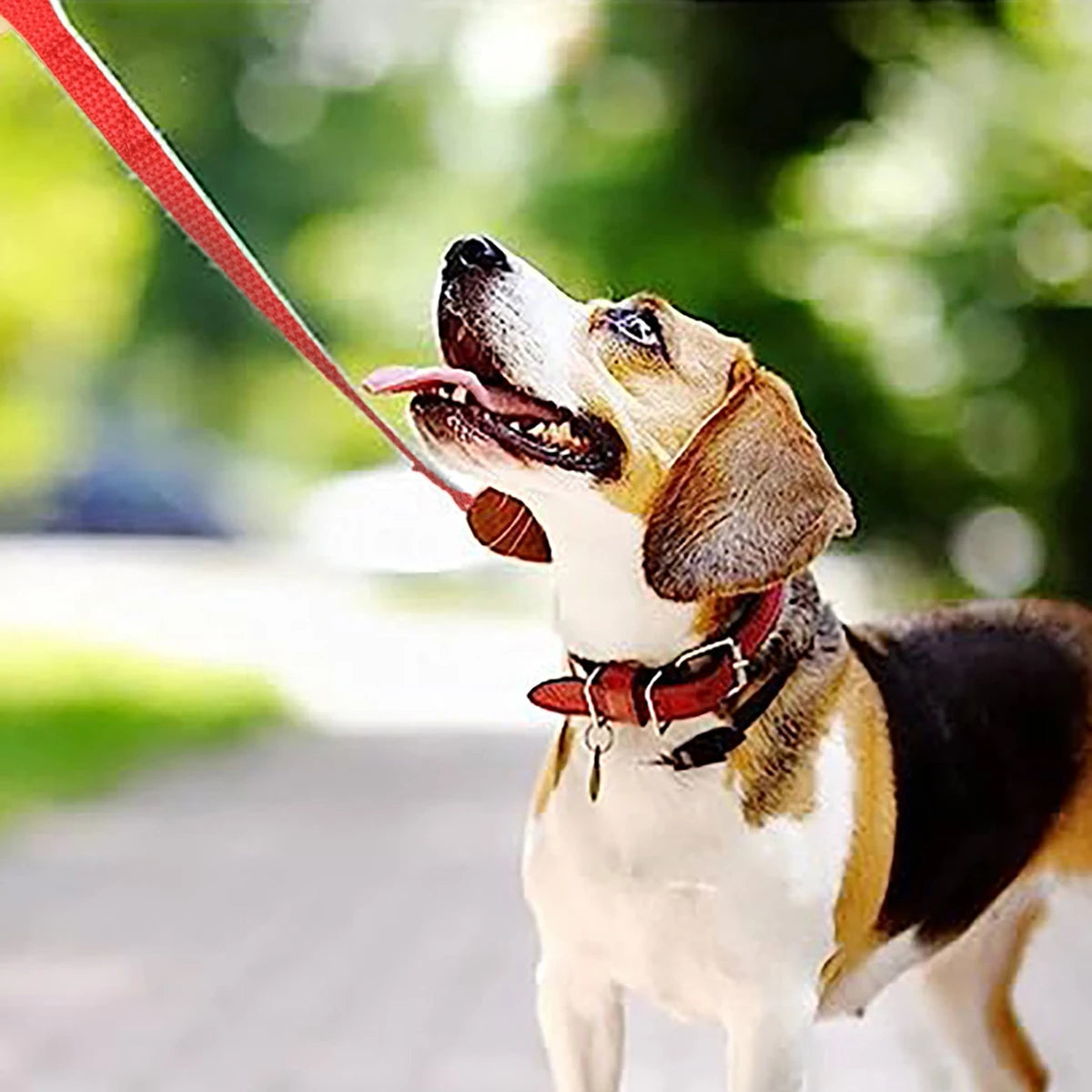 Pet Dog Training Leash Walking Belt Long Lanyard Dog Walking