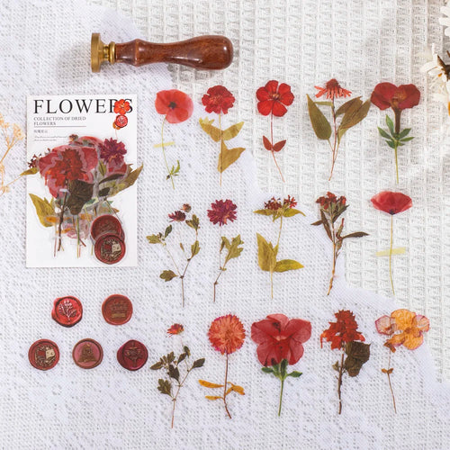 40 pcs/pack Vintage Dried flower Leaf specimen Stickers aesthetic