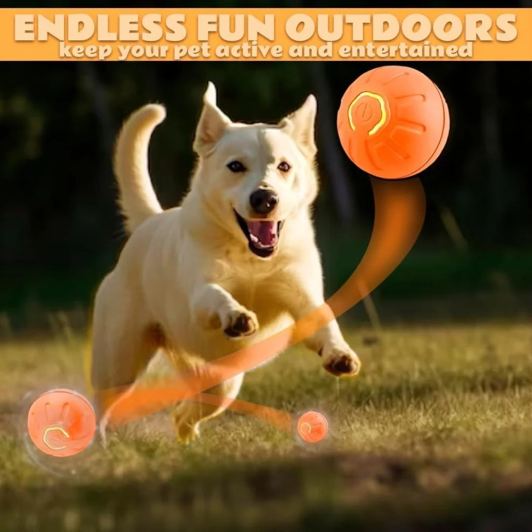 Pet toys Gravity Electric Amusement Pet Ball Smart Bouncing Ball For