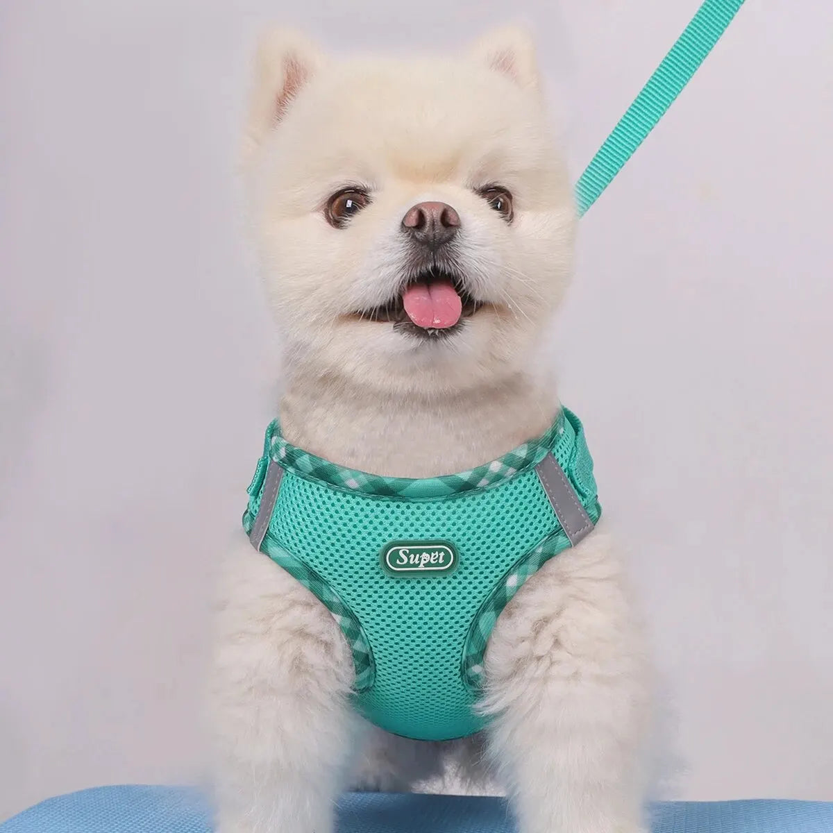 Supet 1pc Dog Harness, Anti-Pull, Pet Harness, Adjustable, Easy to