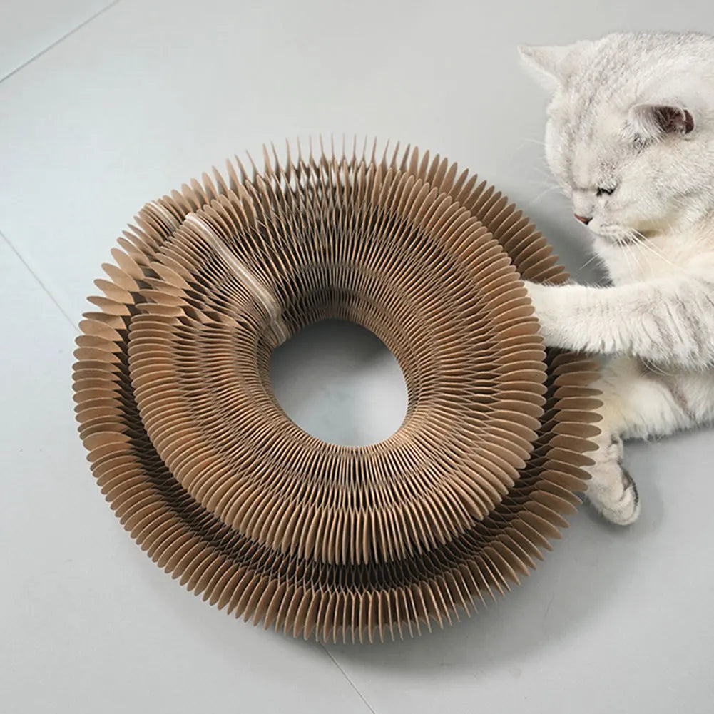 Magic Organ Cat Scratching Board Interactive Scratcher Cat Toy Cat