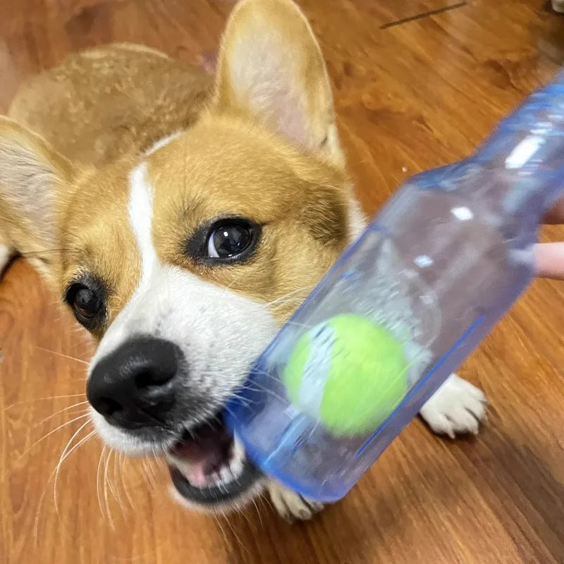Pet Chew Toy TPR Bite-resistance Beer Bottle with Tennis Ball Toy