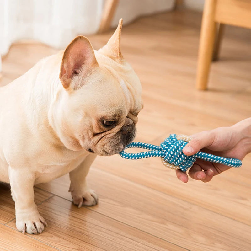 Interactive Cotton Rope Mini Dog Toys Ball for Dogs Accessories