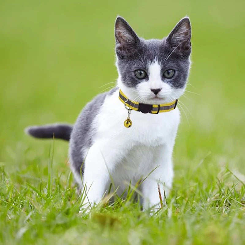Adjustable Reflective Breakaway Cat Collar with Bell Safety Elastic