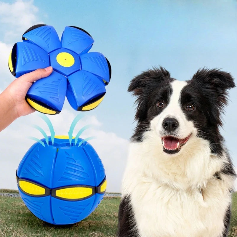 Flying Saucer Bouncing Ball Is A Durable Elastic and Fun Dog Pet Toy