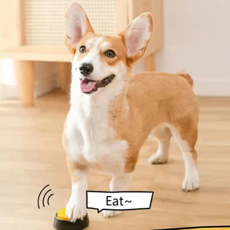 Dog Toys Funny Dog Recordable Pet Toys Talking Pet Starters Pet