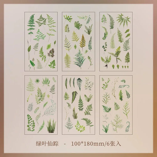 JIANQI 6pcs/pack Transparent PET Stickers Scrapbooking Materials DIY