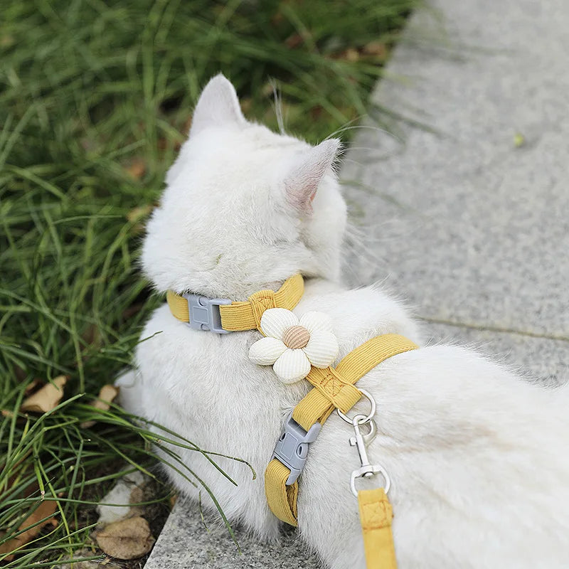 Cat Harness and Leash Sets Adjustable Dog Harness for Small Dog Leash
