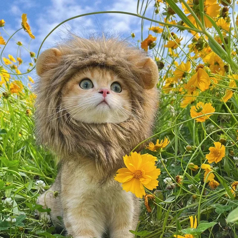Funny Pets Clothes Cap Cute Cat Wig Lion Mane Costume Cosplay Kitten