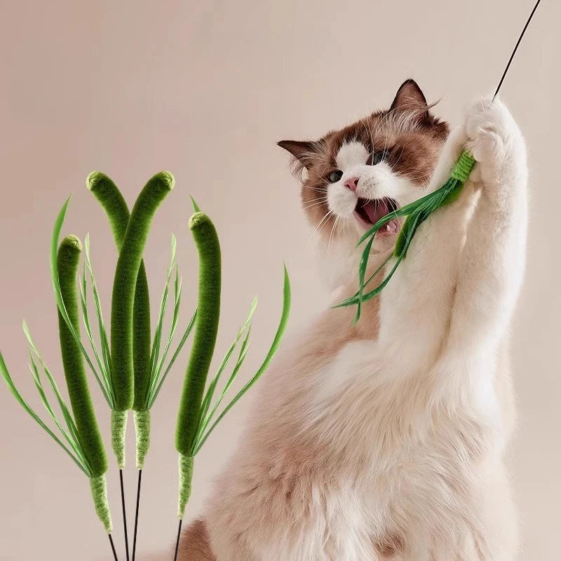 Cat Interactive Toy Cat Dog Tail Grass Dog Sage Feather Long Pole Cat