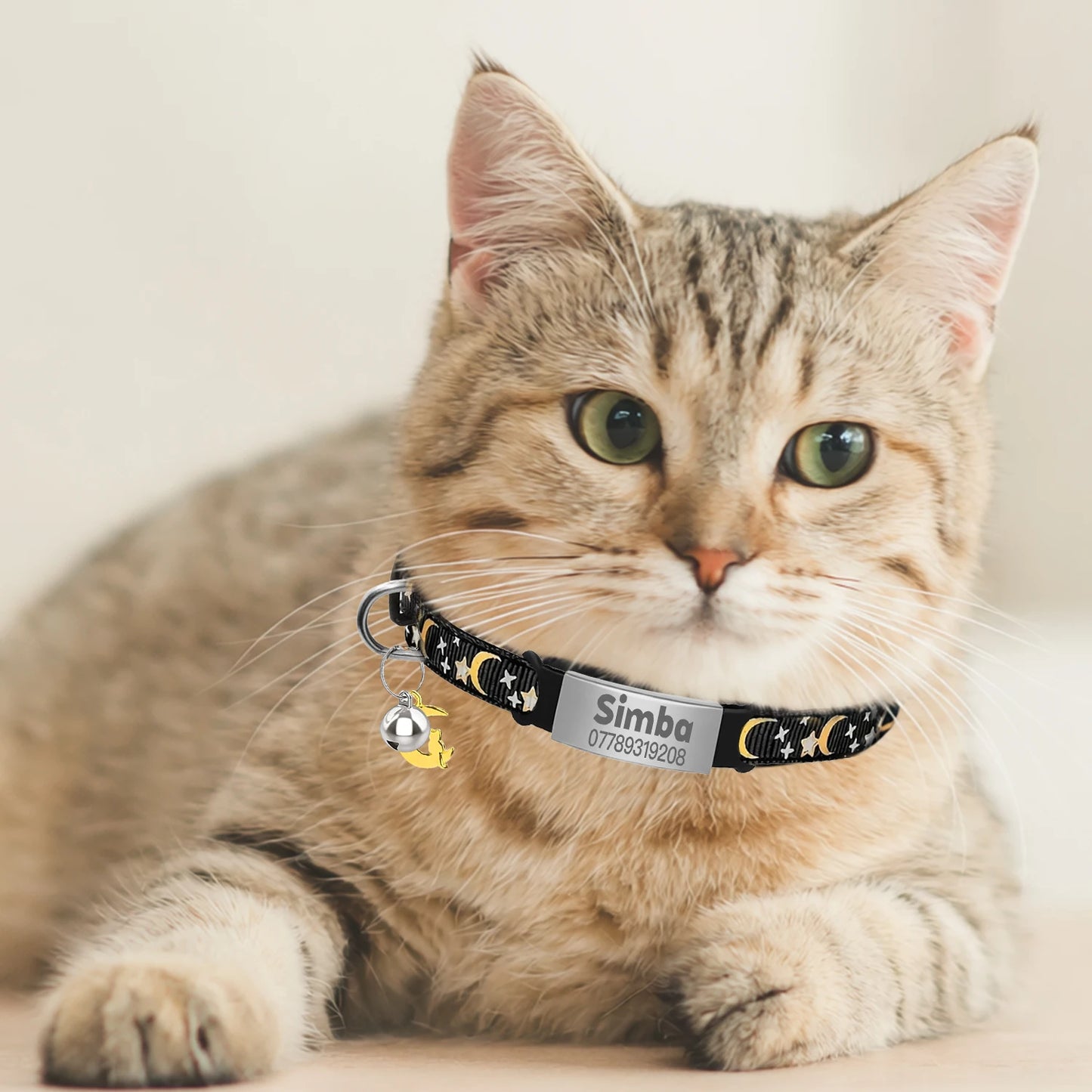 Customized Cute Glow Cat Collar Free Engraved Puppy Kitten Anti-lost