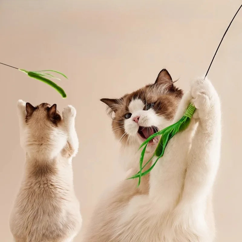Cat Interactive Toy Cat Dog Tail Grass Dog Sage Feather Long Pole Cat