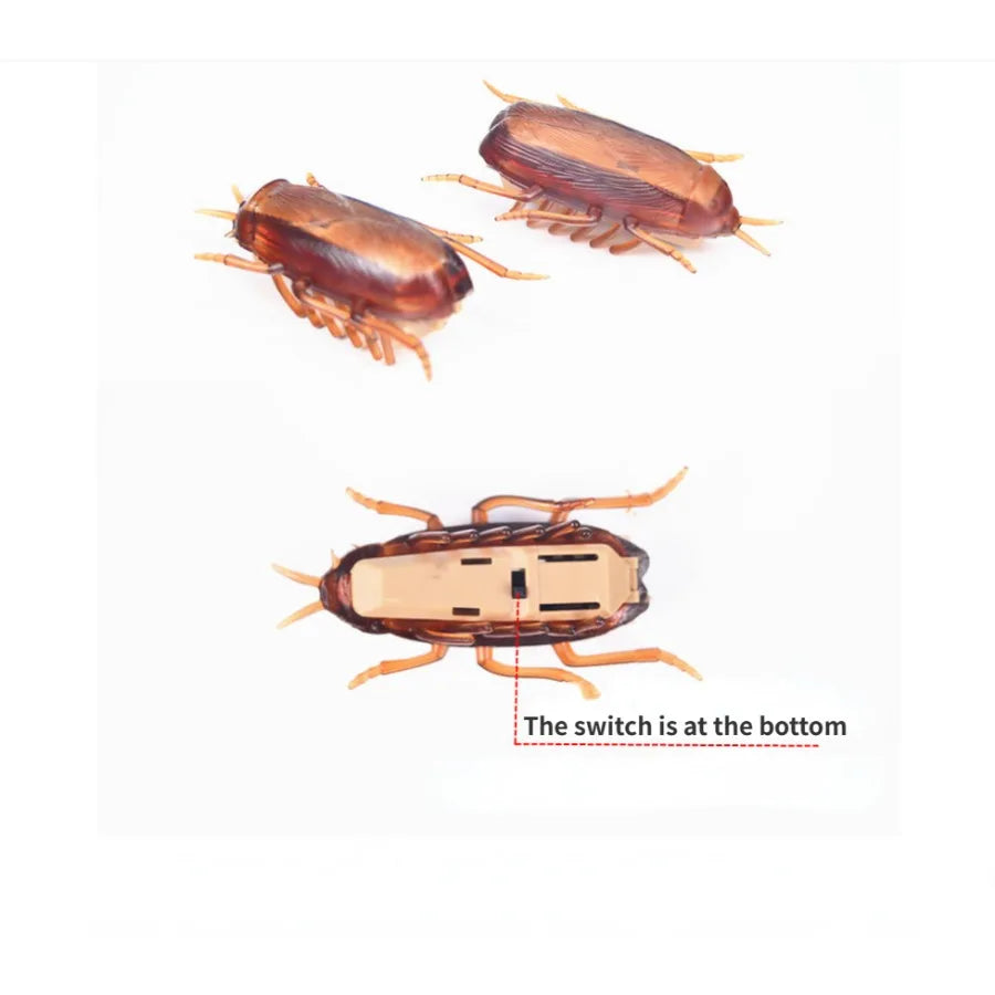 Funny Simulation of Cockroaches Pet Cat Dog Kitten Interactive
