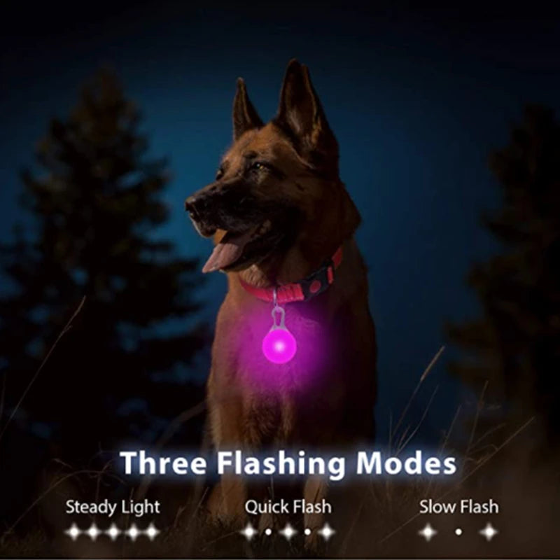 LED Glowing Pendant Flashlight Dog Cat Collar Pet Leads Glow