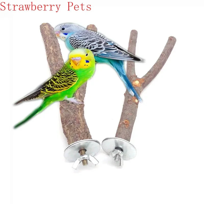 Natural Wood Pet Parrot Raw Wood Fork Tree Branch Stand Rack Squirrel