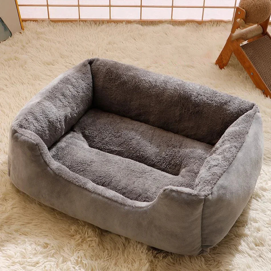 Bed for Cats Pet Products Cushions Kitten Goods Accessories Dog All