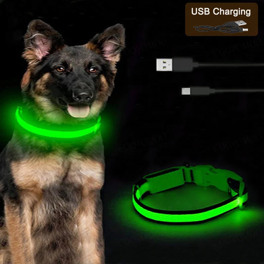 3 Modes Dog Luminous Charge Collar Led Usb Cat Dogs Collars Detachable